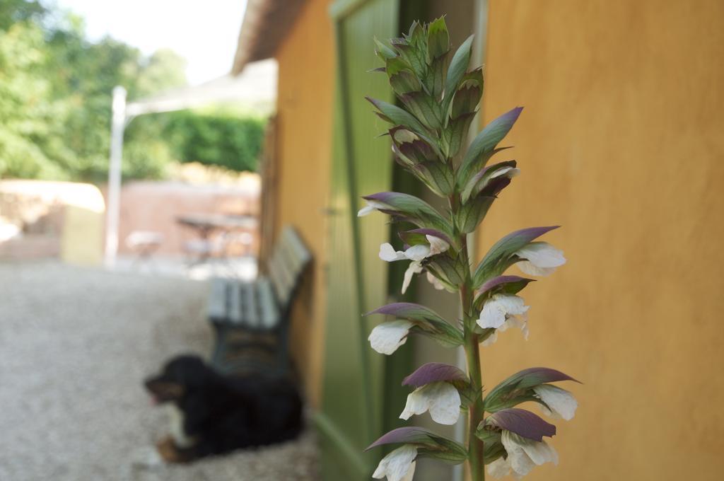 Le Petit Bacalan Villa Mormoiron Room photo