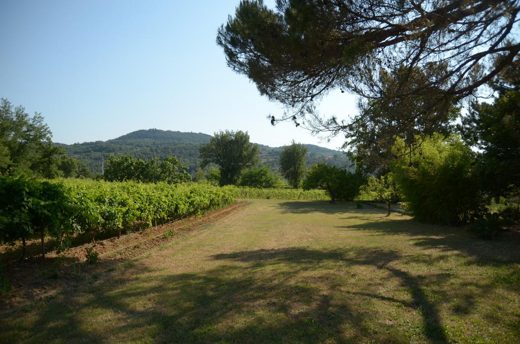Le Petit Bacalan Villa Mormoiron Room photo